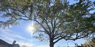 Arium Vinings Station Gallery 34