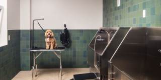 Avalon Amityville Gallery 33