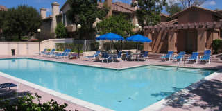 11360 Via Rancho San Diego Gallery 13