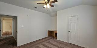 AVAILABLE NOW! Gallery 11