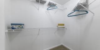 Canyon Vista Gallery 20