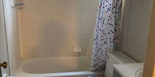 5 Bedroom, 3 Bath Home in East Davis Gallery 16