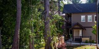 2 Bedroom 1 Bath 957 sq ft Gallery 163