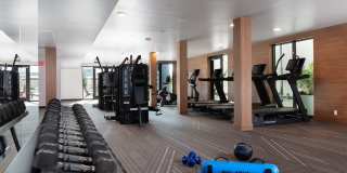 Axis Oakland Gallery 16