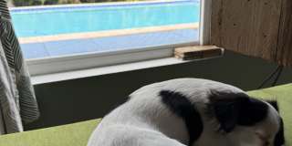 1540 Southwest 74th Court Gallery 2