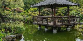 Creekwood Gallery 27