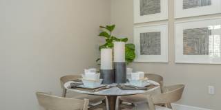 Territory at Greenhouse Gallery 6