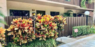 2335 Southwest 22nd Avenue Gallery 1