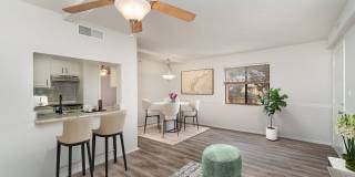 The Park at Murano Gallery 4