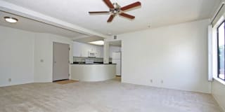 Ocean Crest Gallery 7