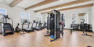 Hamlet Barclay West Gallery 21