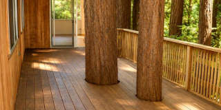 Serene Redwood Retreat with Updated Kitchen, Modern Baths, Fireplace & Expansive Deck Gallery 21