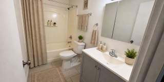 Brittain Road multi-family apartment with 1 bedroom and 1 bathroom! Gallery 6