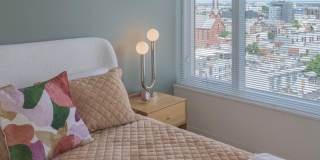 The Carson Gallery 8