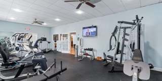 Sea Oats Sea Oats Gallery 57