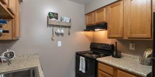 Deer Hill Gallery 8