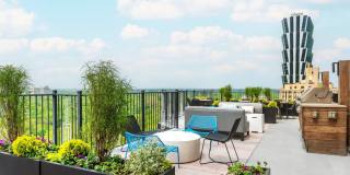 Montclair on the Park Gallery 36