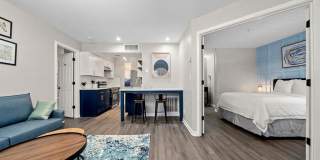 505 Collection Gallery 14