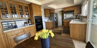 2846 Angelo Dr Gallery 4