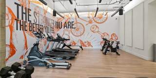 Luna at Viera Gallery 7