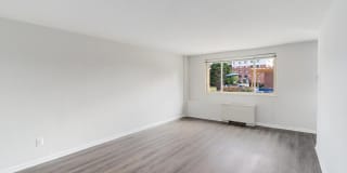 Wood Lee Arms Gallery 5