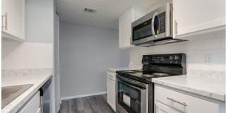 The Borough Gallery 19