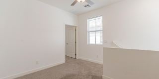 5538 S Dillon Gallery 15