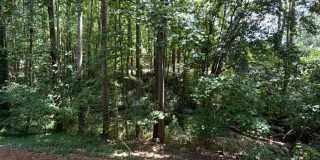1851 Trailwood Heights Lane Gallery 34