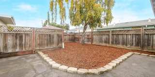 Freshly Renovated San Leandro Home Featuring a Dedicated Studio Gallery 24