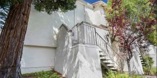1173 Capri Drive Gallery 52