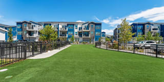 Inova Inova Gallery 9