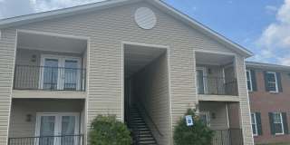 The Trace at 161 Gallery 4