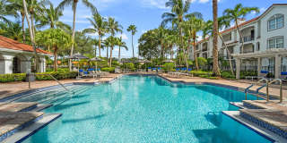 Windsor Coral Springs Gallery 1