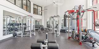 Terra at University North Park Gallery 19