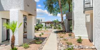 Cortland North Tucson Gallery 28