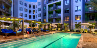 The Lex The Lex Gallery 38