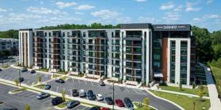 Carraway Village Gallery 28