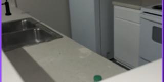 Jacob Press Gallery 1