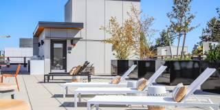 JG Whittier Gallery 44