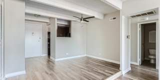 The Paramount Gallery 16