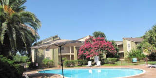 Timbers Edge Gallery 7