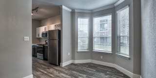 Asheville at Spring Branch Gallery 7