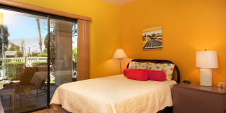 28859 Desert Princess Drive Gallery 18
