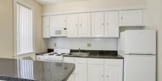 Tivoli Gardens Gallery 15