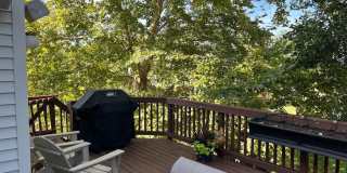 209 MISTY POND Terrace Gallery 19