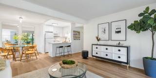 The Aspen South Coast Gallery 16