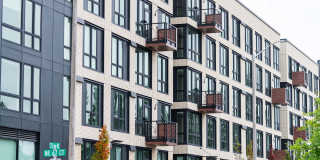 The Piper Gallery 16