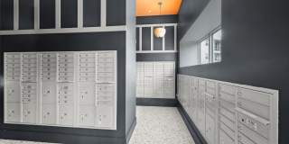 Ascend at Woodlands Gallery 115