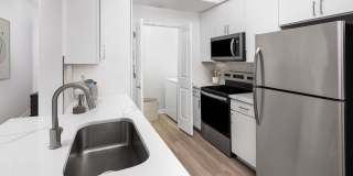 Camden Travis Street Gallery 14