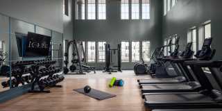 The Louise - Apartments & Townhomes Gallery 36